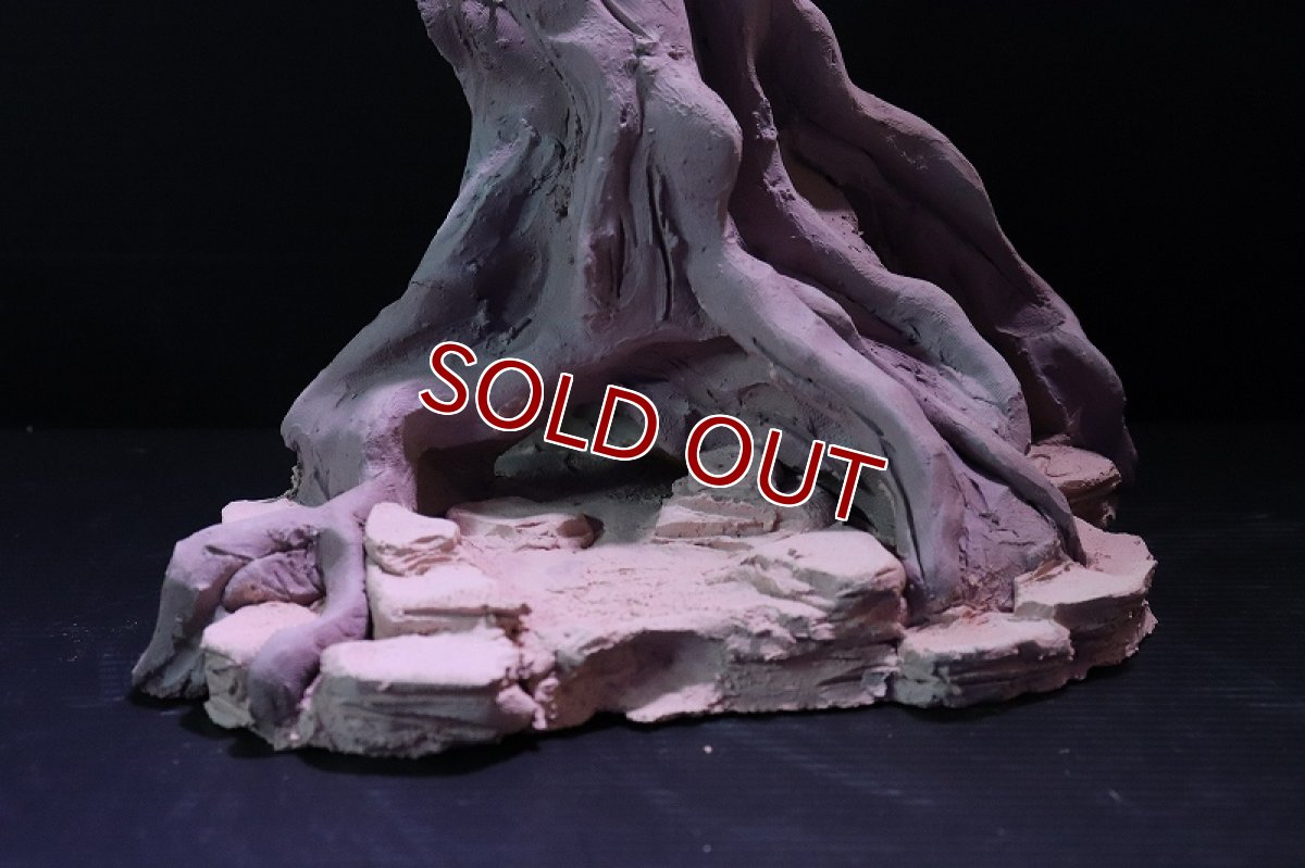 画像4: 【熱帯魚 シェルター】シェルタクラフタ No1 ROOTS Mサイズ シェルター【個体販売】(淡水) (4)