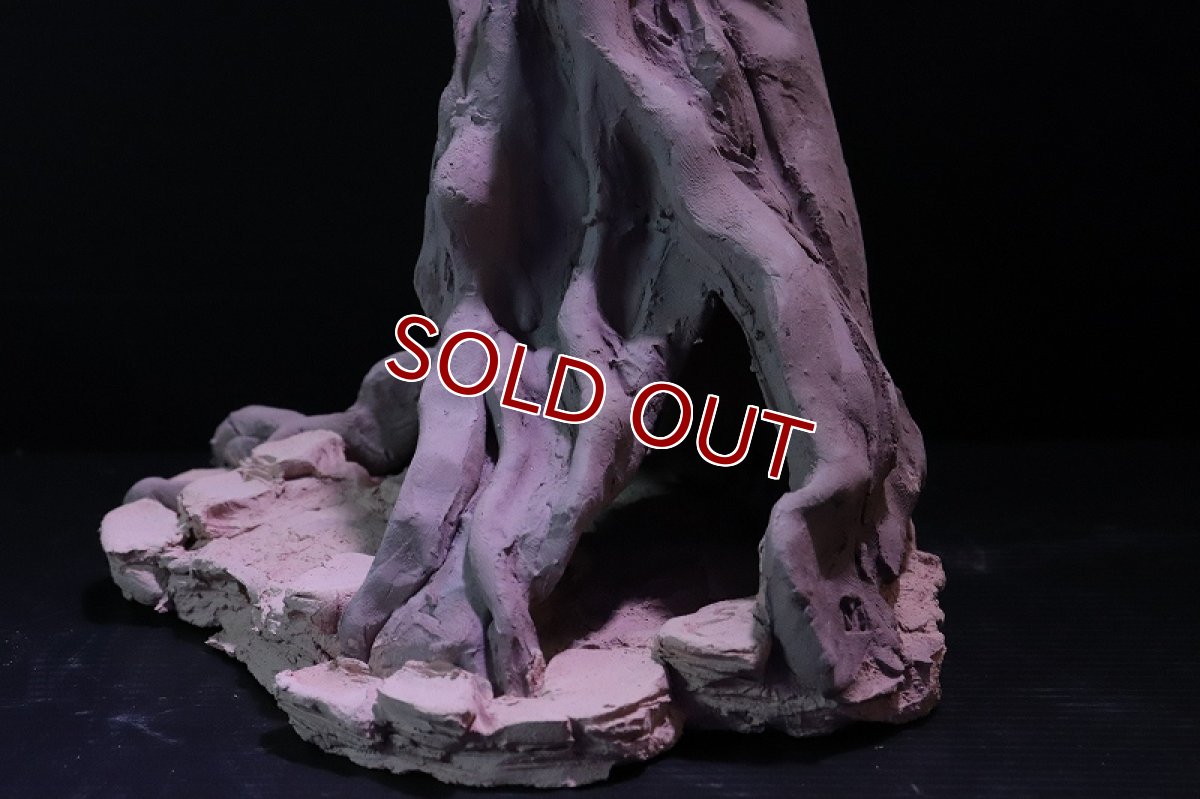 画像5: 【熱帯魚 シェルター】シェルタクラフタ No1 ROOTS Mサイズ シェルター【個体販売】(淡水) (5)