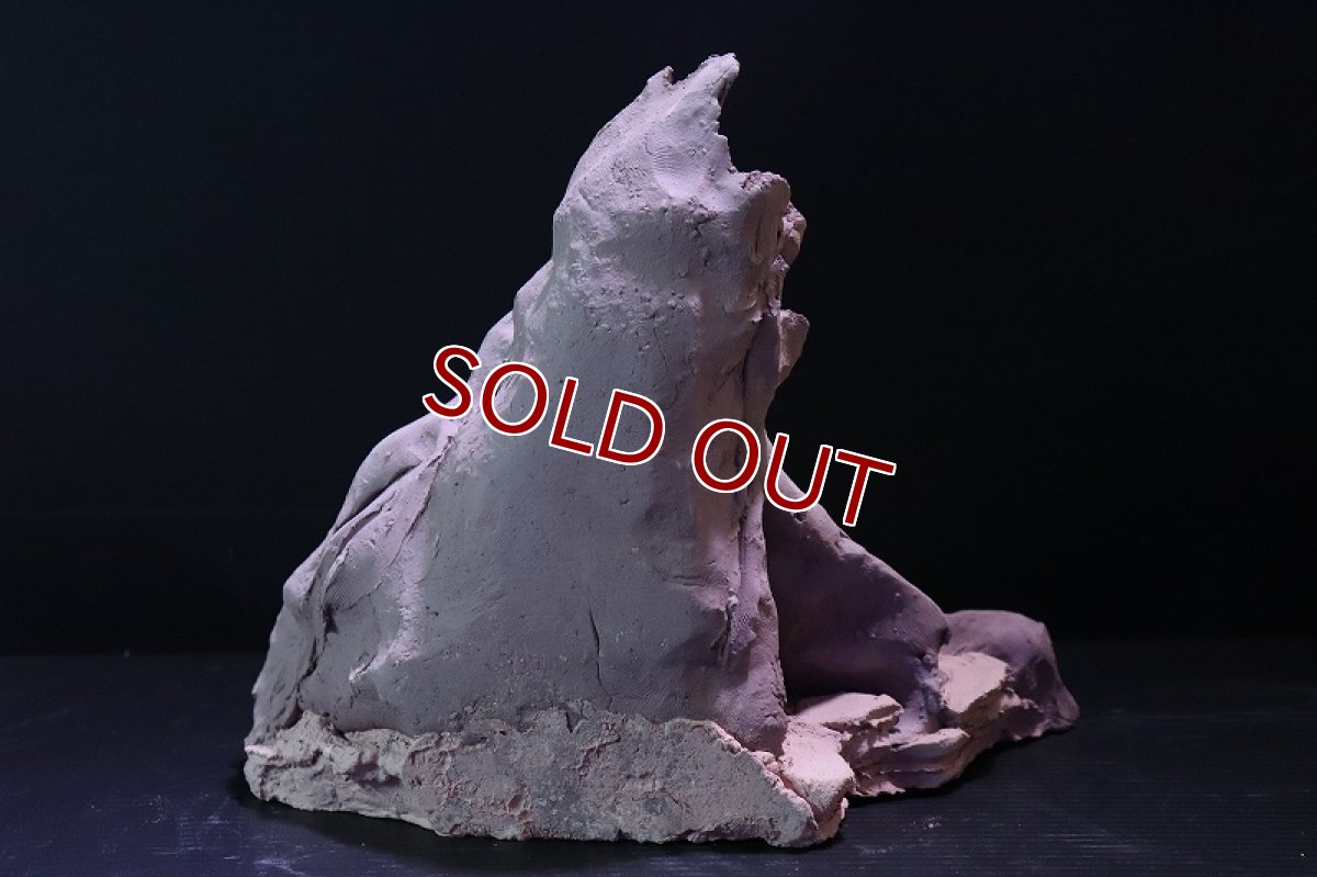 画像6: 【熱帯魚 シェルター】シェルタクラフタ No1 ROOTS Mサイズ シェルター【個体販売】(淡水) (6)