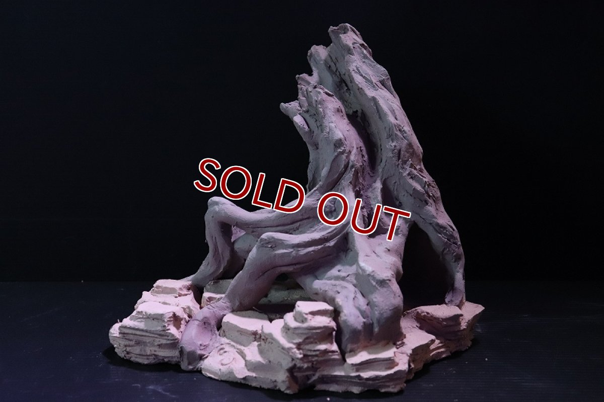 画像2: 【熱帯魚 シェルター】シェルタクラフタ No2 ROOTS Mサイズ シェルター【個体販売】(淡水) (2)