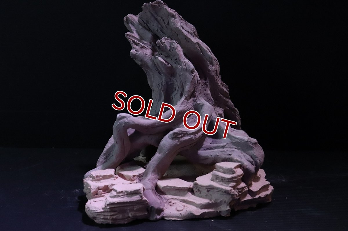 画像3: 【熱帯魚 シェルター】シェルタクラフタ No2 ROOTS Mサイズ シェルター【個体販売】(淡水) (3)