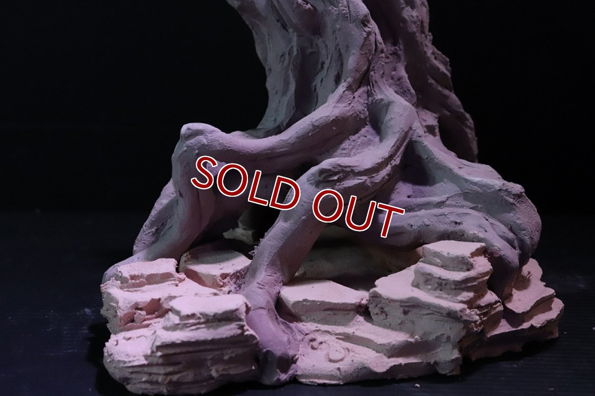 画像4: 【熱帯魚 シェルター】シェルタクラフタ No2 ROOTS Mサイズ シェルター【個体販売】(淡水) (4)