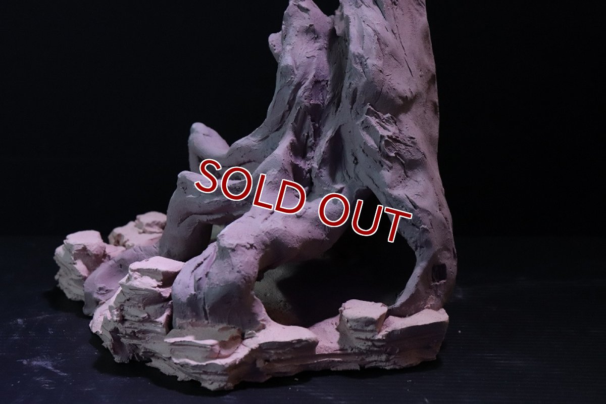 画像5: 【熱帯魚 シェルター】シェルタクラフタ No2 ROOTS Mサイズ シェルター【個体販売】(淡水) (5)