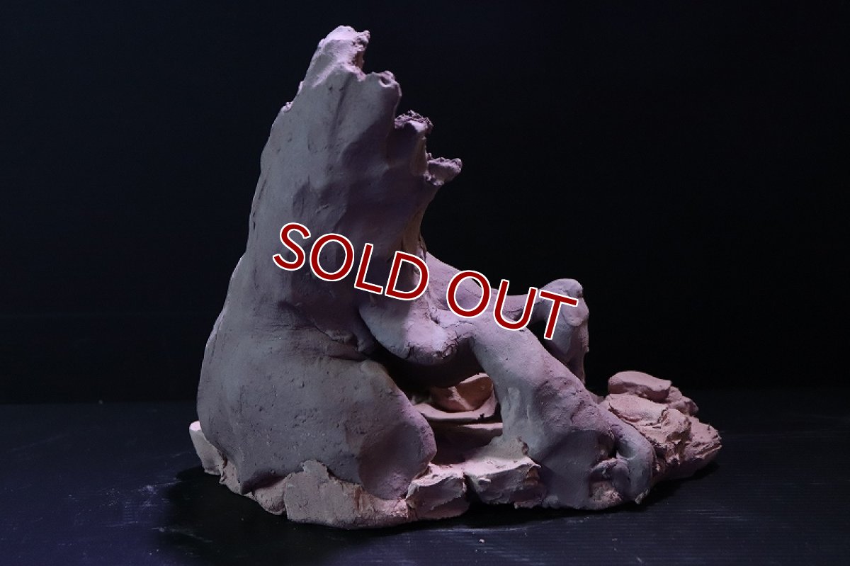 画像6: 【熱帯魚 シェルター】シェルタクラフタ No2 ROOTS Mサイズ シェルター【個体販売】(淡水) (6)