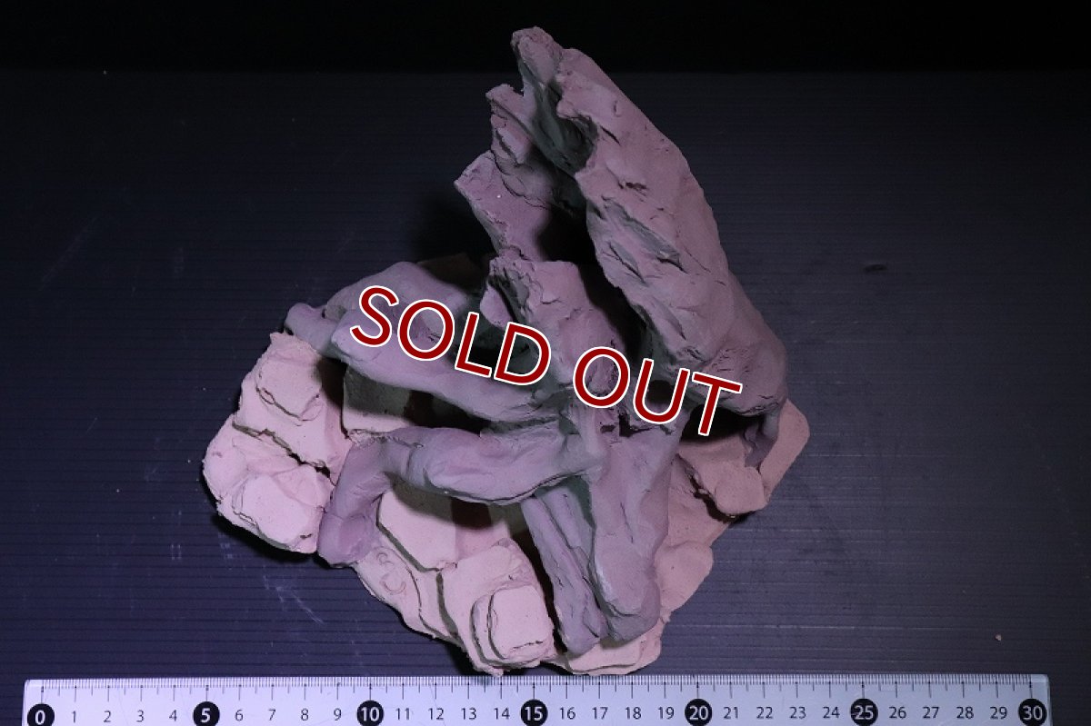 画像7: 【熱帯魚 シェルター】シェルタクラフタ No2 ROOTS Mサイズ シェルター【個体販売】(淡水) (7)