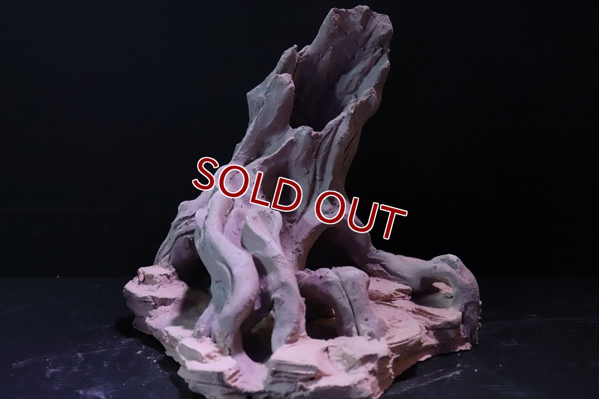 画像3: 【熱帯魚 シェルター】シェルタクラフタ No3 ROOTS Mサイズ シェルター【個体販売】(淡水) (3)