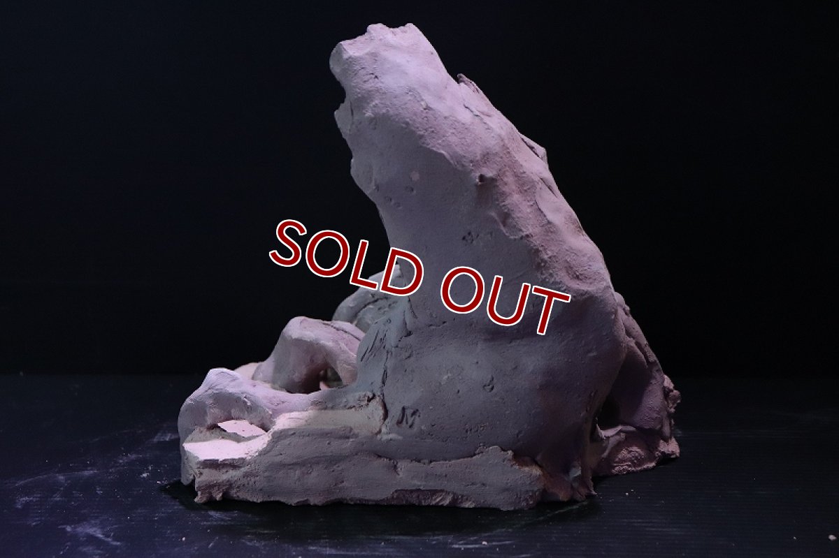 画像6: 【熱帯魚 シェルター】シェルタクラフタ No3 ROOTS Mサイズ シェルター【個体販売】(淡水) (6)