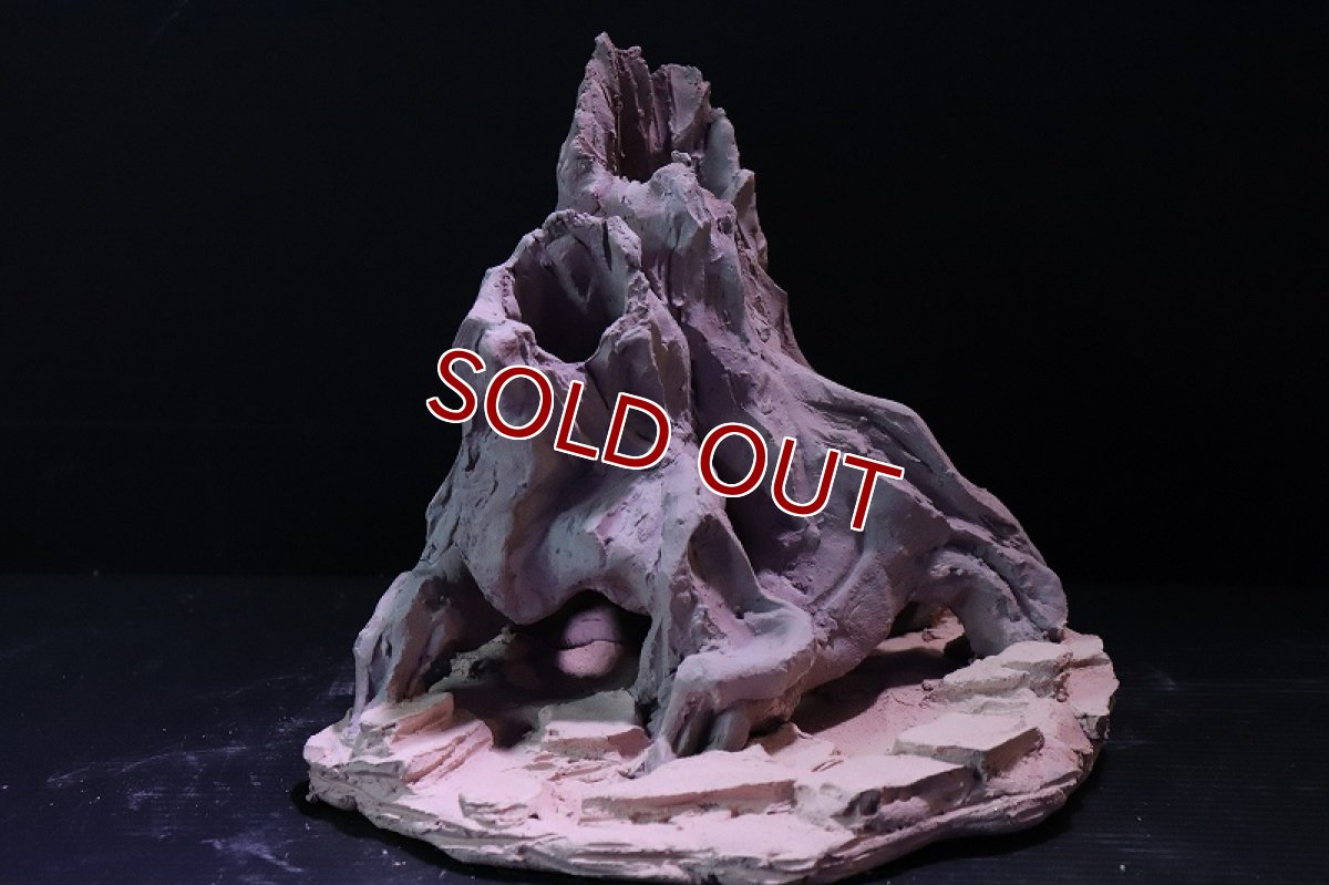 画像2: 【熱帯魚 シェルター】シェルタクラフタ No4 ROOTS Mサイズ シェルター【個体販売】(淡水) (2)