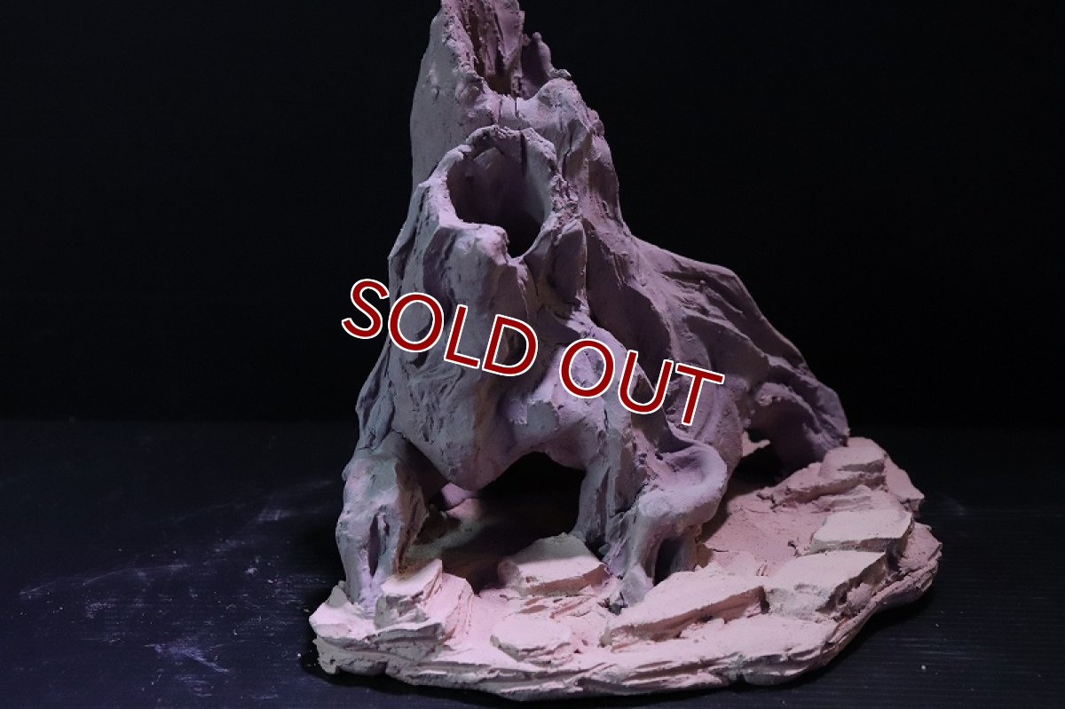 画像3: 【熱帯魚 シェルター】シェルタクラフタ No4 ROOTS Mサイズ シェルター【個体販売】(淡水) (3)