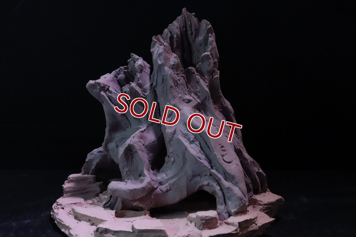 画像4: 【熱帯魚 シェルター】シェルタクラフタ No4 ROOTS Mサイズ シェルター【個体販売】(淡水) (4)