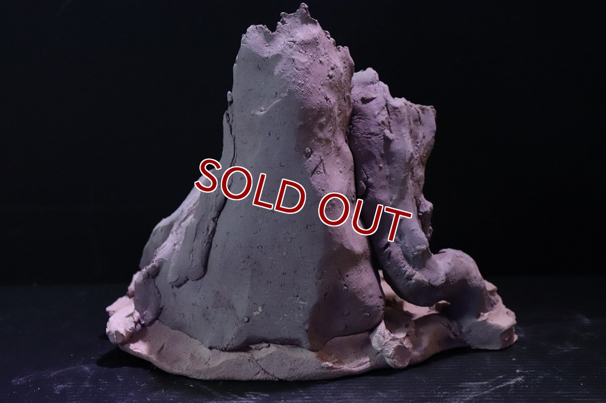 画像6: 【熱帯魚 シェルター】シェルタクラフタ No4 ROOTS Mサイズ シェルター【個体販売】(淡水) (6)