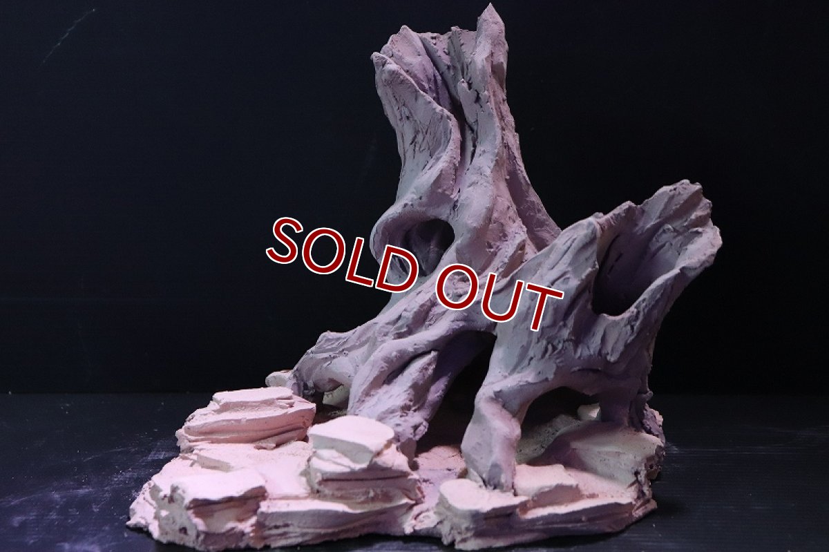 画像2: 【熱帯魚 シェルター】シェルタクラフタ No5 ROOTS Mサイズシェルター【個体販売】(淡水) (2)