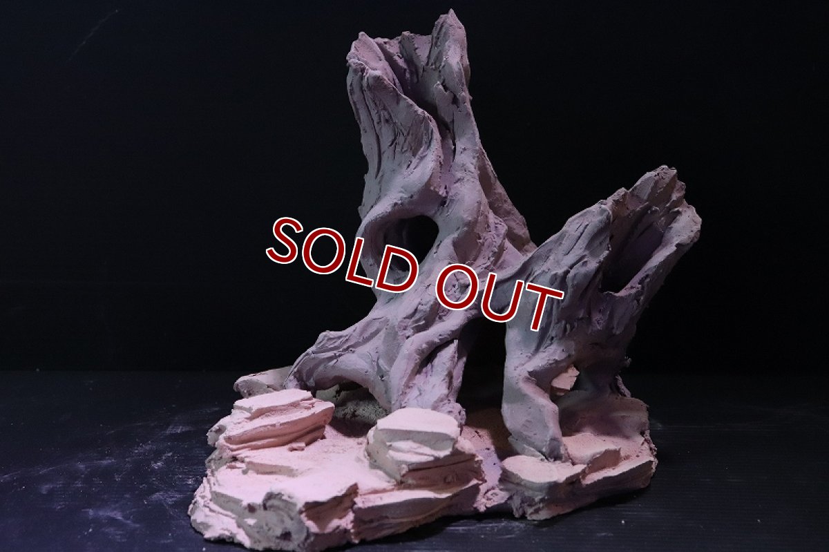 画像3: 【熱帯魚 シェルター】シェルタクラフタ No5 ROOTS Mサイズシェルター【個体販売】(淡水) (3)