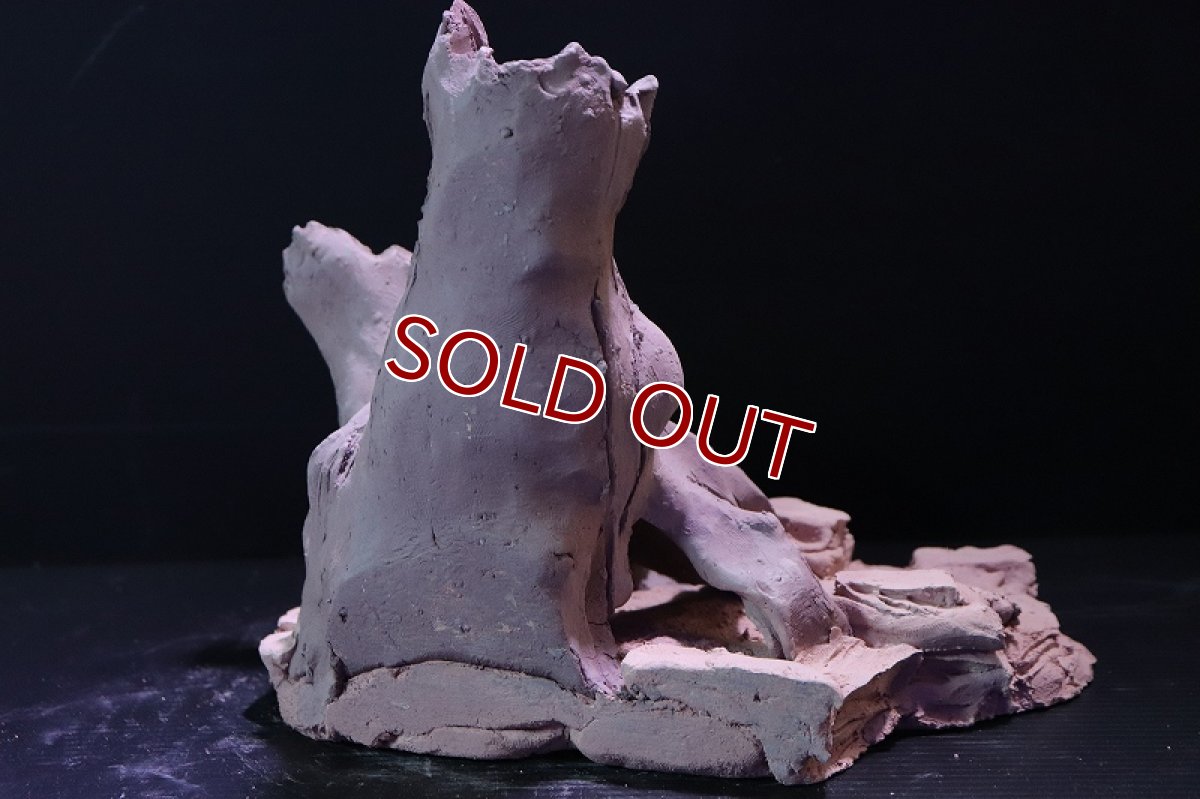 画像6: 【熱帯魚 シェルター】シェルタクラフタ No5 ROOTS Mサイズシェルター【個体販売】(淡水) (6)