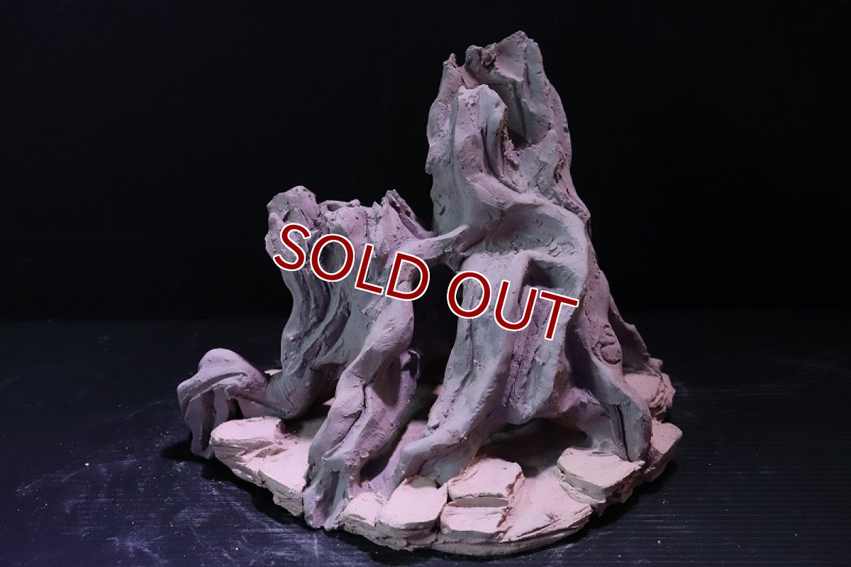 画像2: 【熱帯魚 シェルター】シェルタクラフタ No6 ROOTS Mサイズ シェルター【個体販売】(淡水) (2)