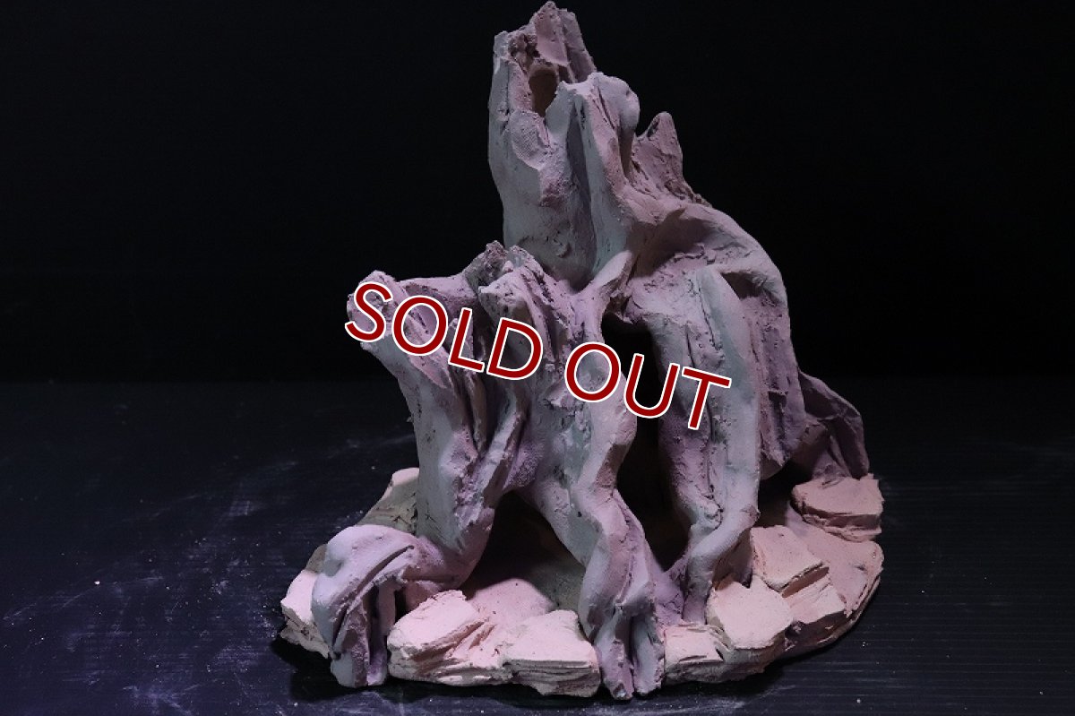 画像3: 【熱帯魚 シェルター】シェルタクラフタ No6 ROOTS Mサイズ シェルター【個体販売】(淡水) (3)