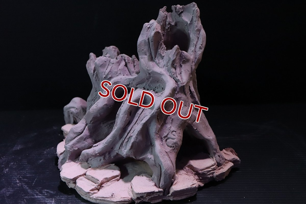 画像4: 【熱帯魚 シェルター】シェルタクラフタ No6 ROOTS Mサイズ シェルター【個体販売】(淡水) (4)