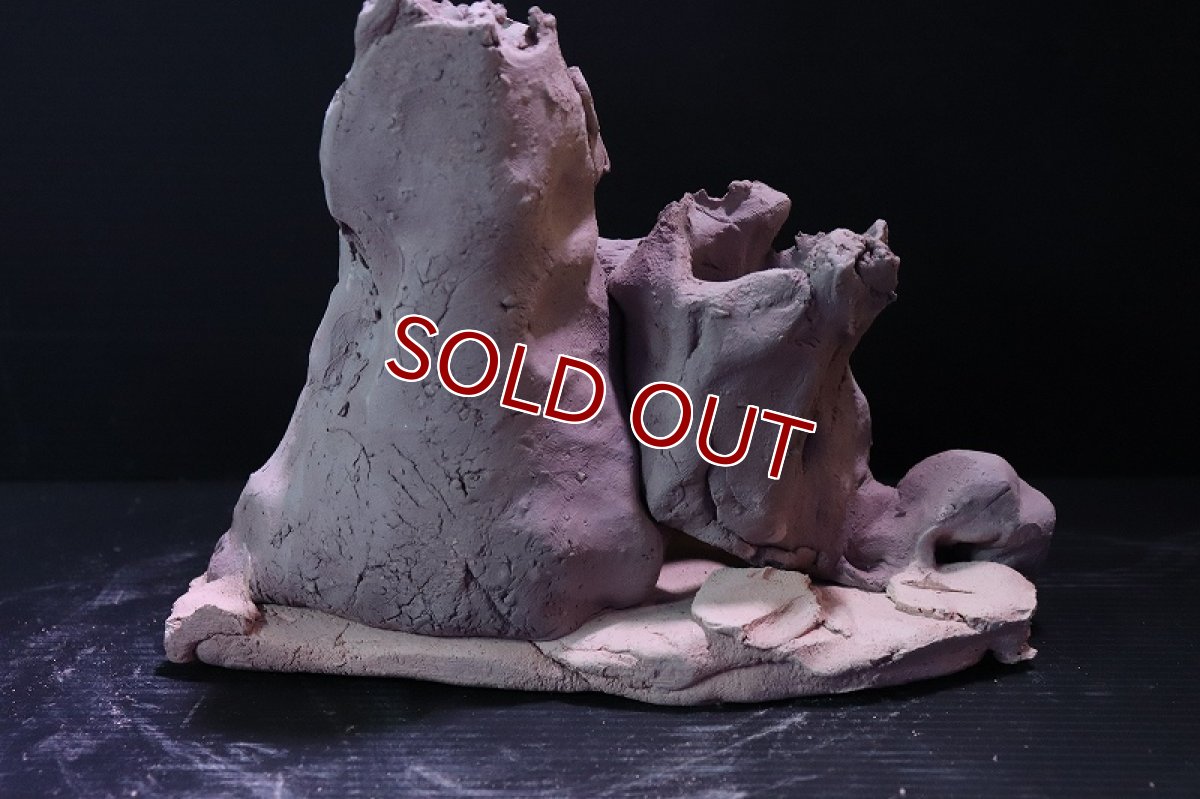 画像6: 【熱帯魚 シェルター】シェルタクラフタ No6 ROOTS Mサイズ シェルター【個体販売】(淡水) (6)