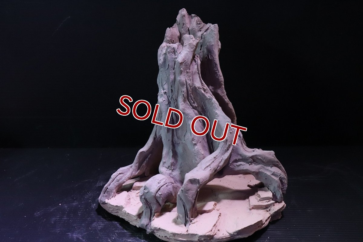 画像2: 【熱帯魚 シェルター】シェルタクラフタ No7 ROOTS Mサイズシェルター【個体販売】(淡水) (2)