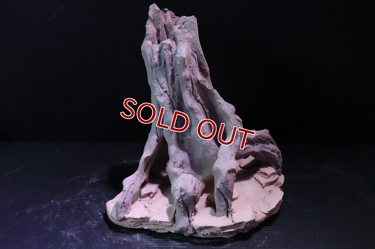 画像3: 【熱帯魚 シェルター】シェルタクラフタ No7 ROOTS Mサイズシェルター【個体販売】(淡水) (3)