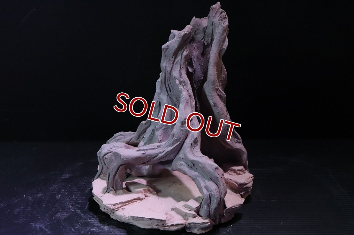 画像4: 【熱帯魚 シェルター】シェルタクラフタ No7 ROOTS Mサイズシェルター【個体販売】(淡水) (4)