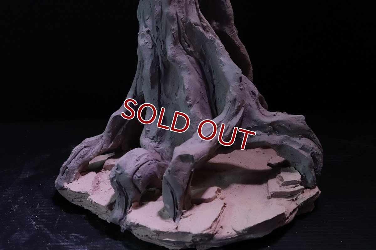 画像5: 【熱帯魚 シェルター】シェルタクラフタ No7 ROOTS Mサイズシェルター【個体販売】(淡水) (5)