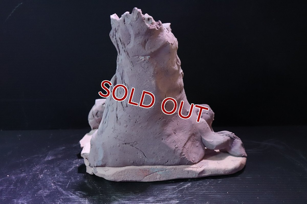 画像6: 【熱帯魚 シェルター】シェルタクラフタ No7 ROOTS Mサイズシェルター【個体販売】(淡水) (6)