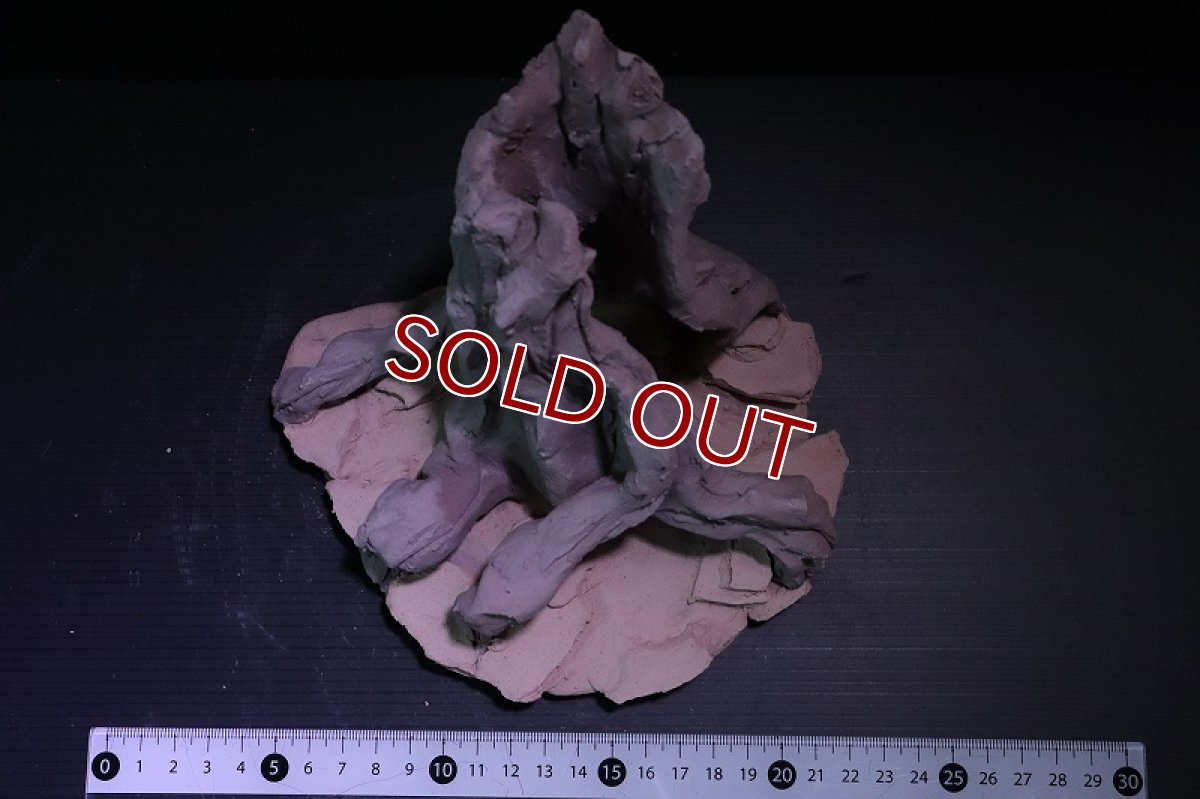 画像7: 【熱帯魚 シェルター】シェルタクラフタ No7 ROOTS Mサイズシェルター【個体販売】(淡水) (7)