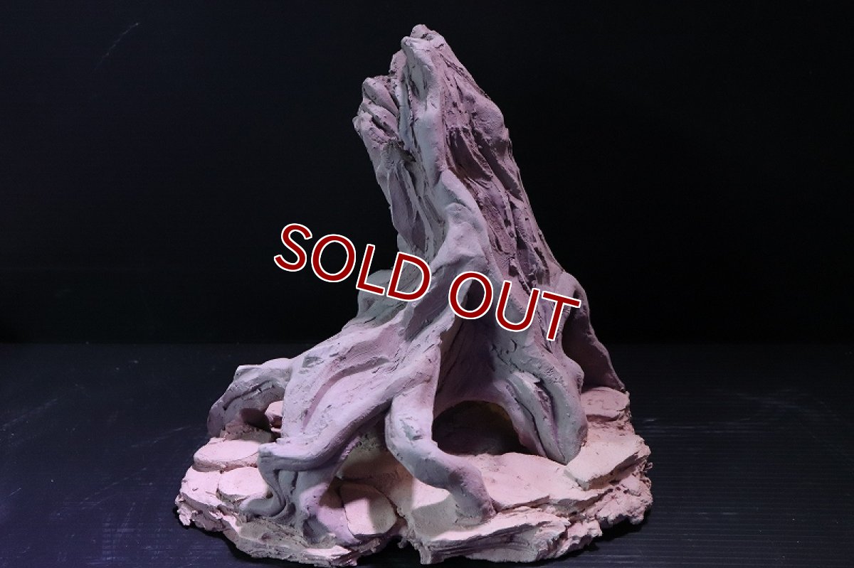 画像2: 【熱帯魚 シェルター】シェルタクラフタ No8 ROOTS Mサイズ シェルター【個体販売】(淡水) (2)