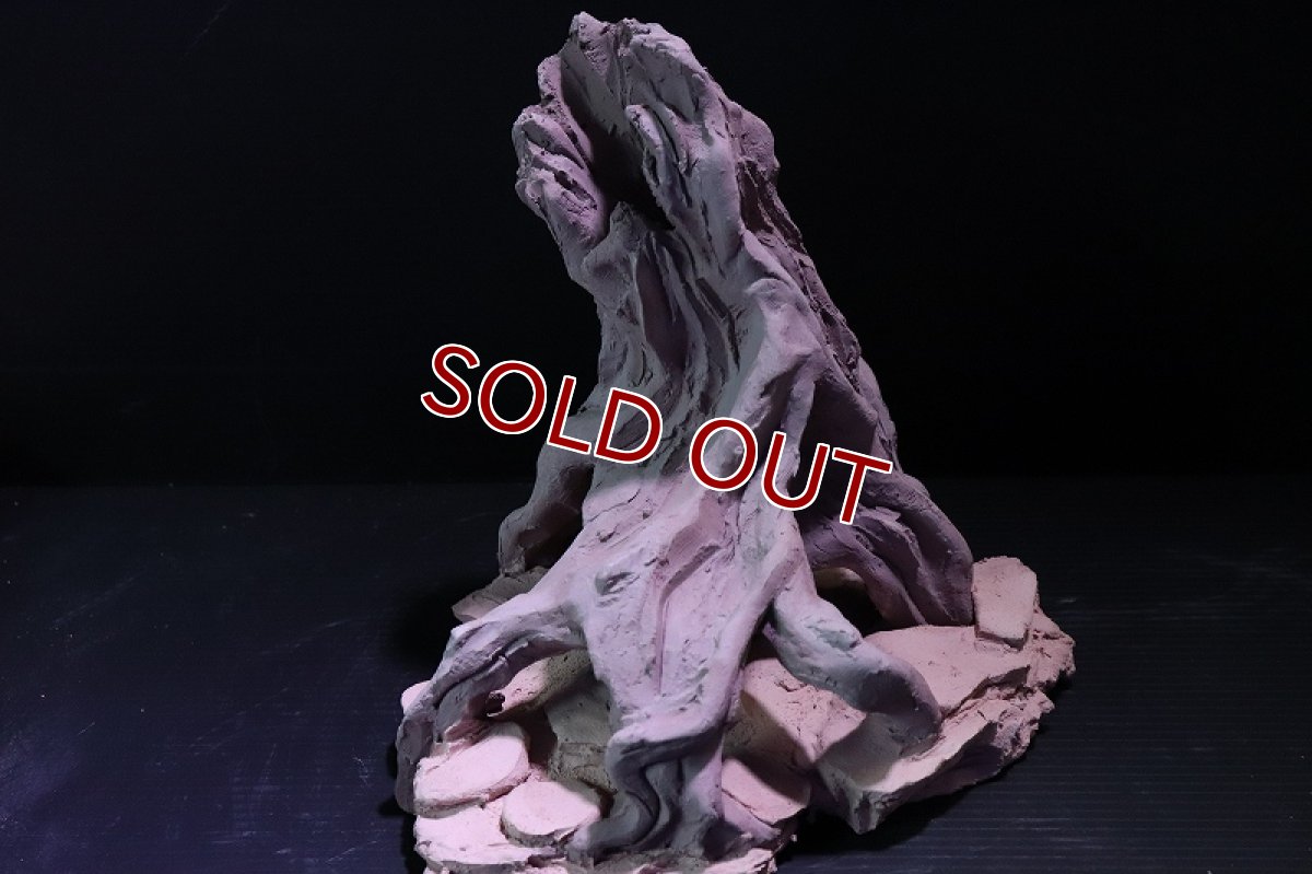 画像3: 【熱帯魚 シェルター】シェルタクラフタ No8 ROOTS Mサイズ シェルター【個体販売】(淡水) (3)