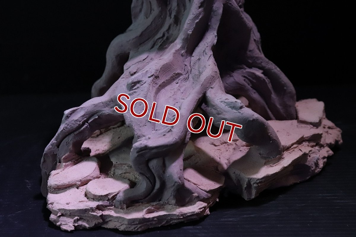 画像4: 【熱帯魚 シェルター】シェルタクラフタ No8 ROOTS Mサイズ シェルター【個体販売】(淡水) (4)