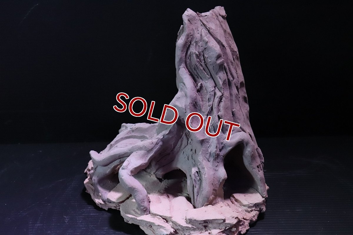 画像5: 【熱帯魚 シェルター】シェルタクラフタ No8 ROOTS Mサイズ シェルター【個体販売】(淡水) (5)