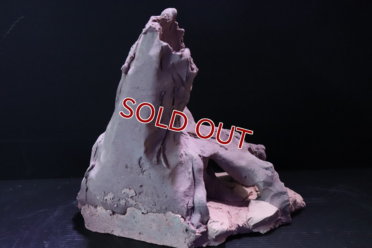 画像6: 【熱帯魚 シェルター】シェルタクラフタ No8 ROOTS Mサイズ シェルター【個体販売】(淡水) (6)