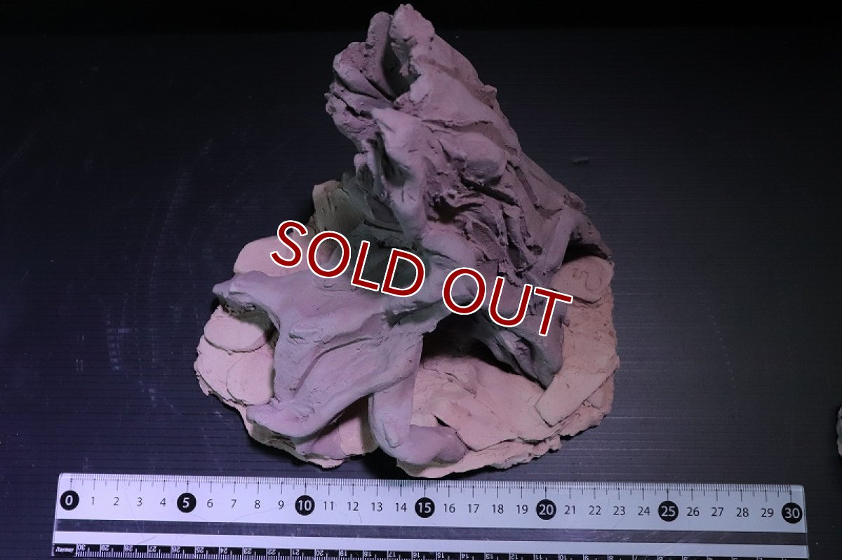 画像7: 【熱帯魚 シェルター】シェルタクラフタ No8 ROOTS Mサイズ シェルター【個体販売】(淡水) (7)