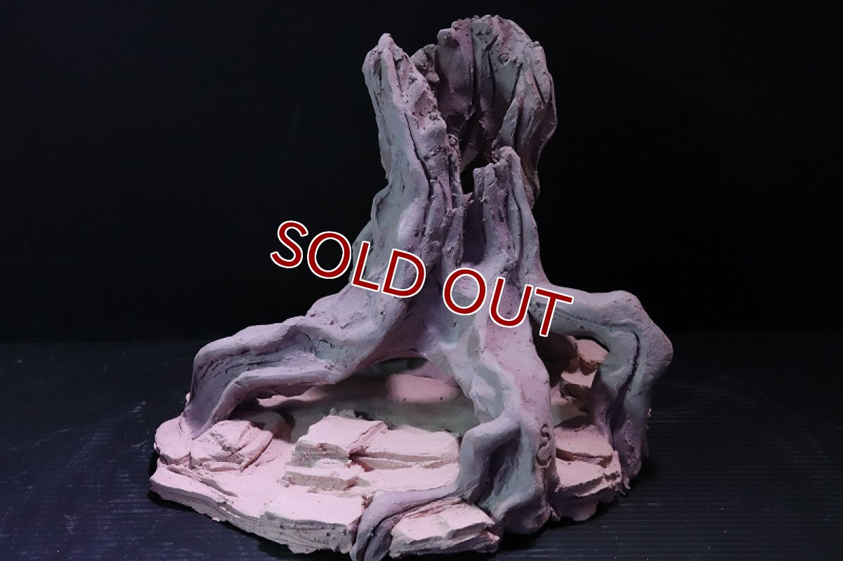 画像2: 【熱帯魚 シェルター】シェルタクラフタ No9 ROOTS Mサイズ シェルター【個体販売】(淡水) (2)