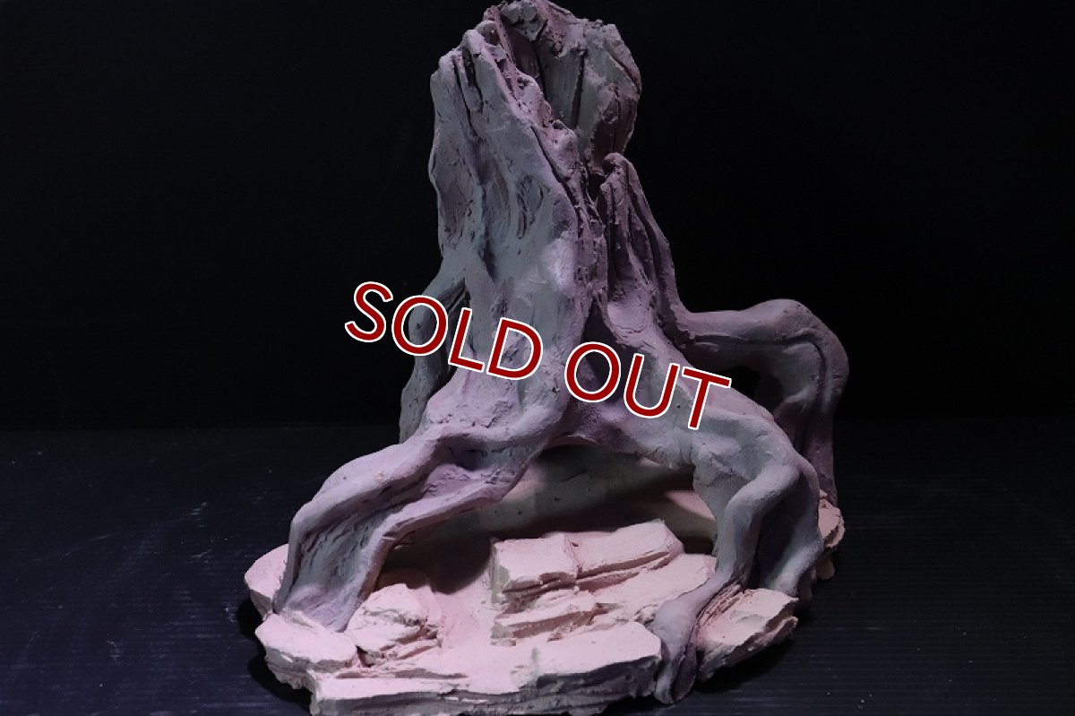 画像3: 【熱帯魚 シェルター】シェルタクラフタ No9 ROOTS Mサイズ シェルター【個体販売】(淡水) (3)