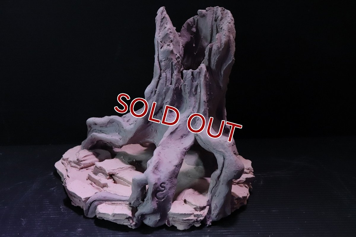 画像4: 【熱帯魚 シェルター】シェルタクラフタ No9 ROOTS Mサイズ シェルター【個体販売】(淡水) (4)