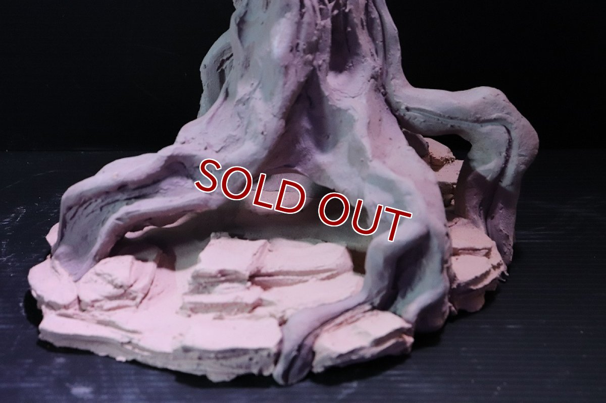 画像5: 【熱帯魚 シェルター】シェルタクラフタ No9 ROOTS Mサイズ シェルター【個体販売】(淡水) (5)