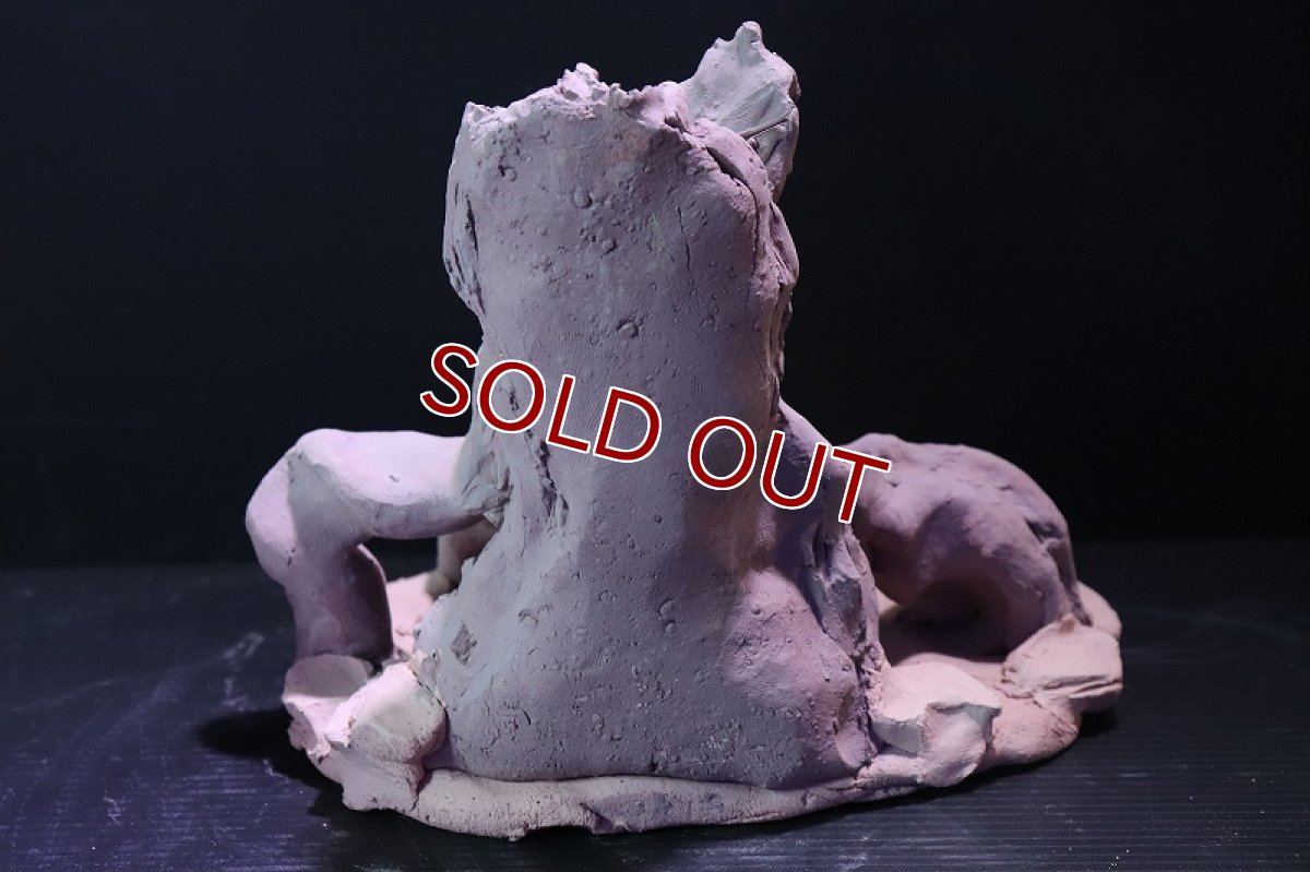 画像6: 【熱帯魚 シェルター】シェルタクラフタ No9 ROOTS Mサイズ シェルター【個体販売】(淡水) (6)