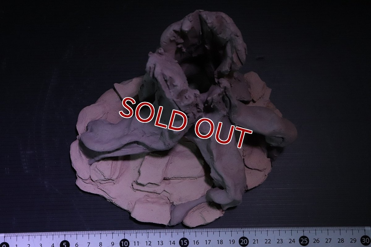 画像7: 【熱帯魚 シェルター】シェルタクラフタ No9 ROOTS Mサイズ シェルター【個体販売】(淡水) (7)