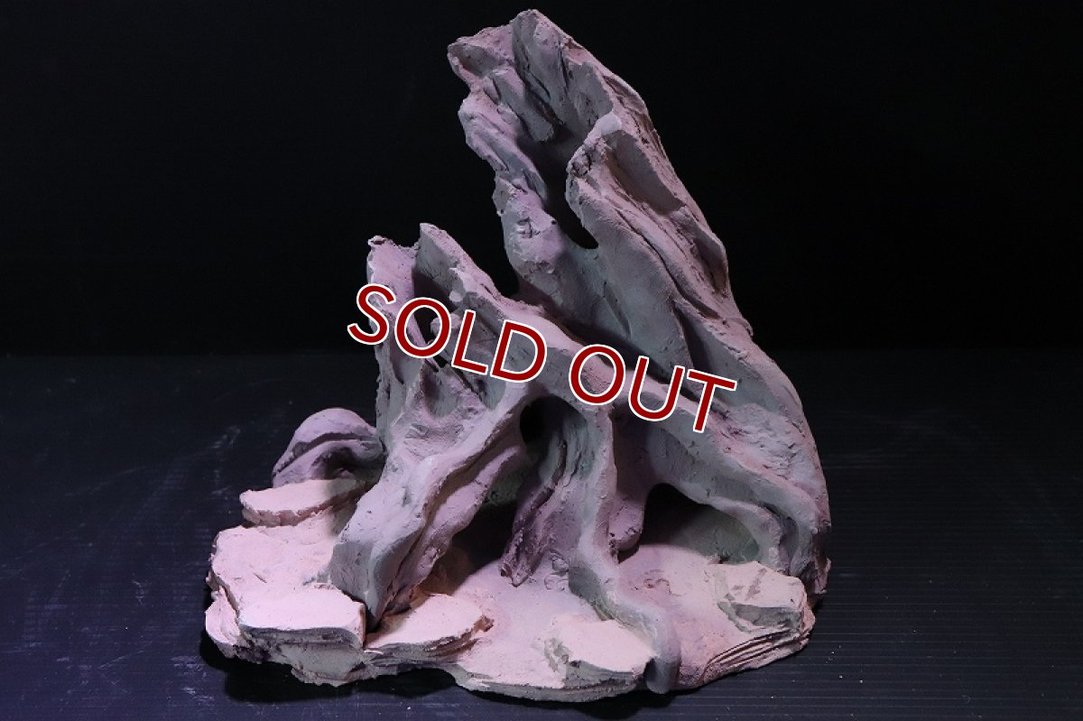 画像2: 【熱帯魚 シェルター】シェルタクラフタ No10 ROOTS Mサイズ シェルター【個体販売】(淡水) (2)