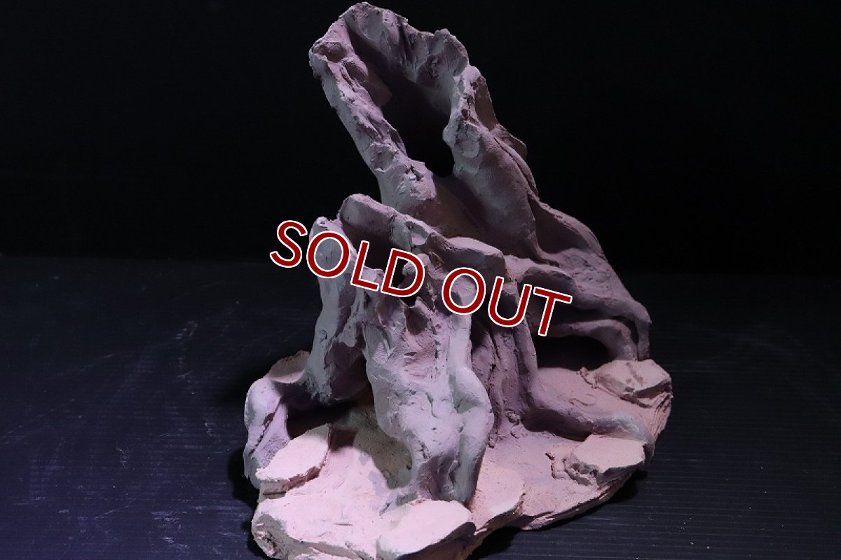 画像3: 【熱帯魚 シェルター】シェルタクラフタ No10 ROOTS Mサイズ シェルター【個体販売】(淡水) (3)