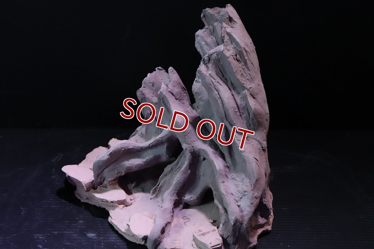 画像4: 【熱帯魚 シェルター】シェルタクラフタ No10 ROOTS Mサイズ シェルター【個体販売】(淡水) (4)