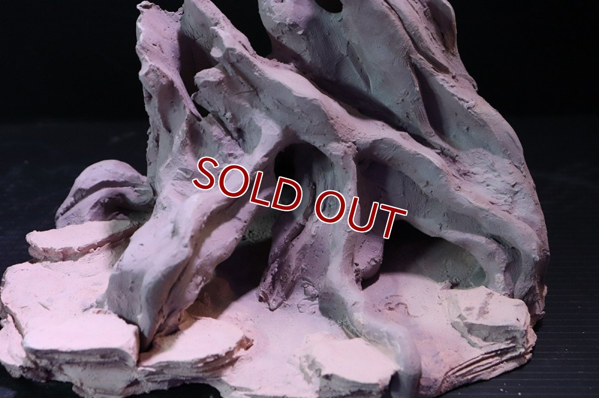 画像5: 【熱帯魚 シェルター】シェルタクラフタ No10 ROOTS Mサイズ シェルター【個体販売】(淡水) (5)