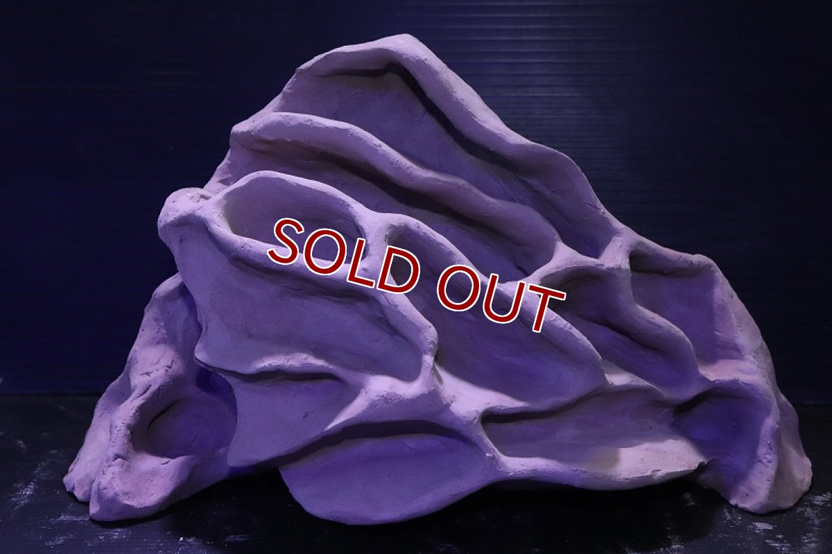 画像2: シェルタクラフタ No1 アリの巣型×産卵筒 シェルター【個体販売】(淡水) (2)