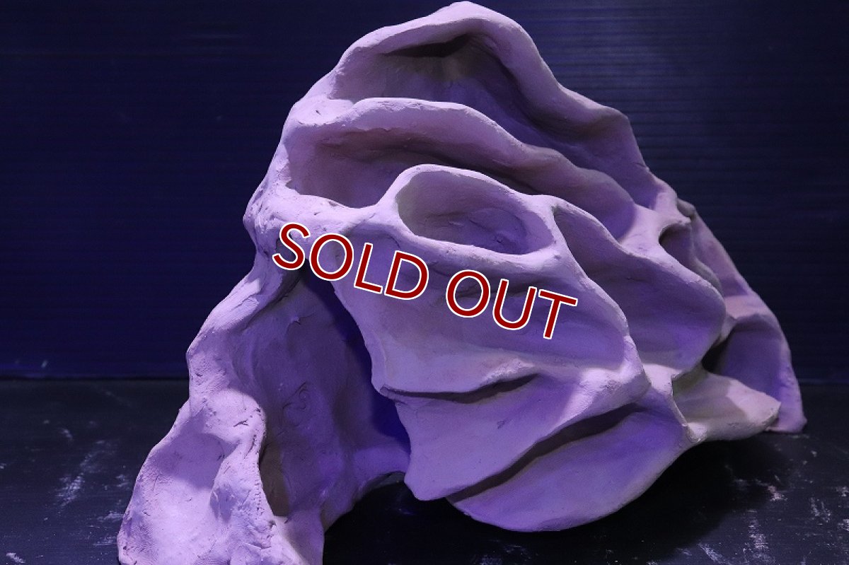 画像3: シェルタクラフタ No1 アリの巣型×産卵筒 シェルター【個体販売】(淡水) (3)