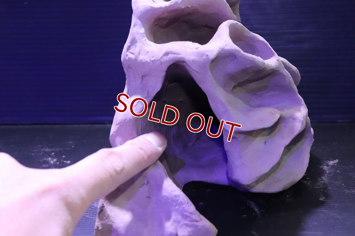 画像4: シェルタクラフタ No1 アリの巣型×産卵筒 シェルター【個体販売】(淡水) (4)