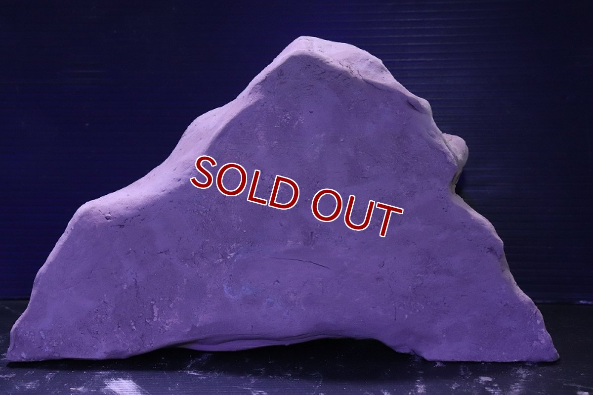 画像6: シェルタクラフタ No1 アリの巣型×産卵筒 シェルター【個体販売】(淡水) (6)