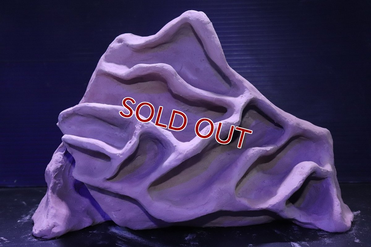 画像2: シェルタクラフタ No2 アリの巣型×産卵筒 シェルター【個体販売】(淡水) (2)