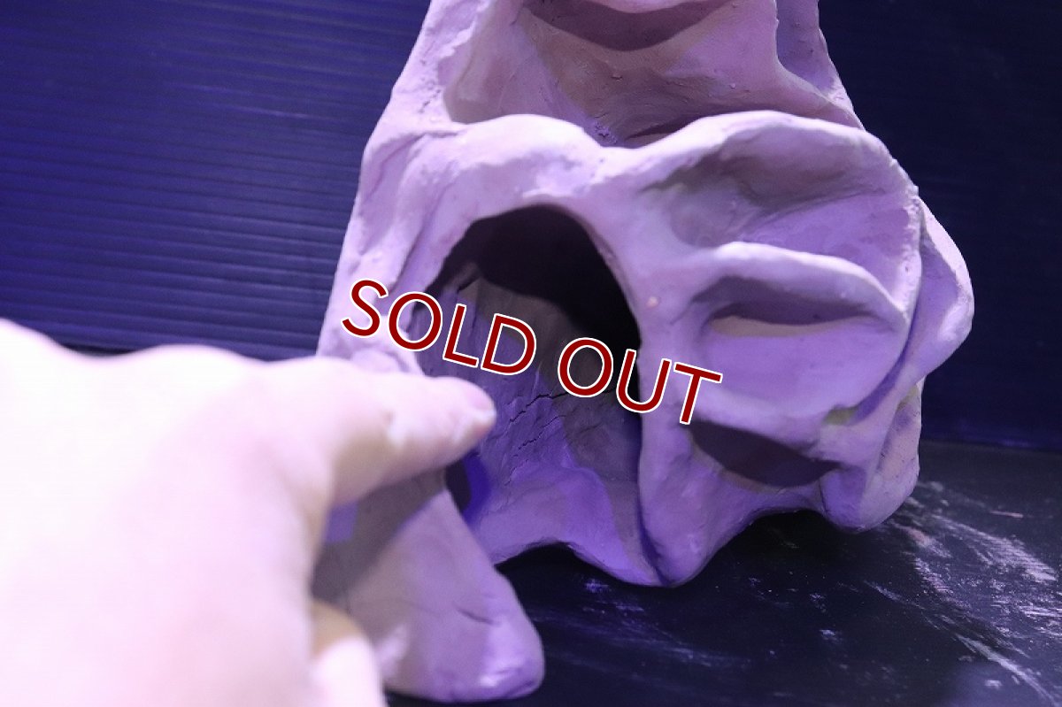 画像4: シェルタクラフタ No2 アリの巣型×産卵筒 シェルター【個体販売】(淡水) (4)